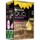Garnier Olia Permanent Coloring Ammonia Free, Pleasant Smell With Natural Floral Oils - Golden Blonde 7.3