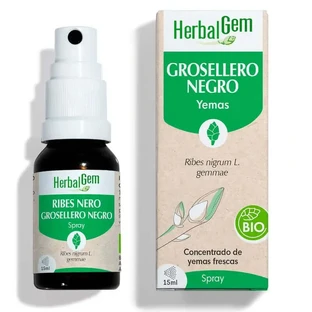 Herbalgem Zwarte Bes, 15ml