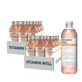 Vitamin Well Pack Antioxidans Pfirsich, 24 Einheiten X 500 Ml