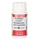 Equisalud Holomega Immuno Betaglucans 1,3 Fermented 50Cap