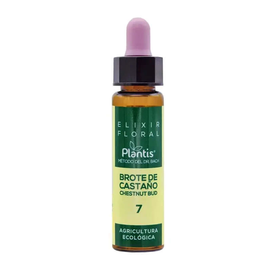 Artesania Bourgeon de Marronnier Plantis Fleurs de Bach No. 07 10Ml