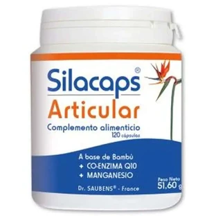 Labo Sante Sante Silice Silacaps +1 Articular 120Caps