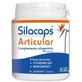 Labo Sante Sante Silice Silacaps +1 Articular 120Caps