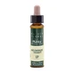 Artesania Haagbeuk Plantis Bach bloesem nr. 17 10Ml