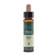 Artesania Beuken Plantis Bach Bloemen Nr. 03 10Ml