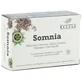 Betula Somnia 30Cap