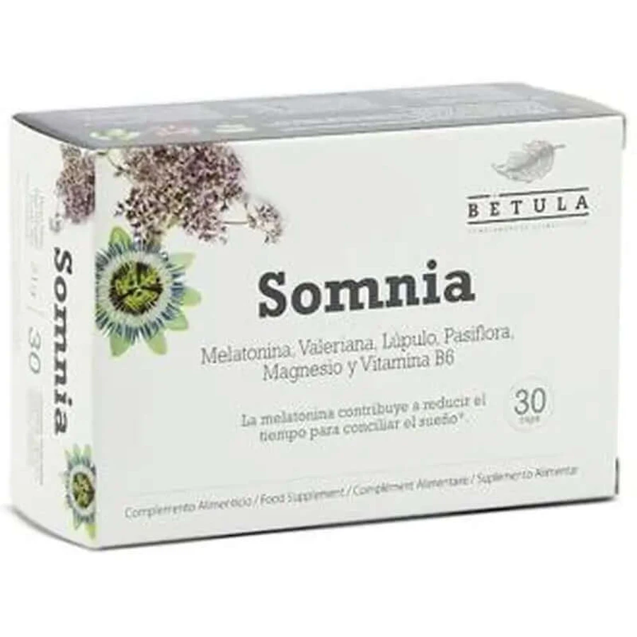 Betula Somnia 30Cap