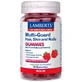 Lamberts Multi-Guard Hair Skin &amp; Nails , 60 gummies
