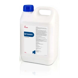 Livisto Betamint 5 Liters