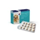 Covetrus Nutricarevet Joint Supplement for Dogs and Cats, 45Cpd