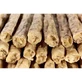 Calibra Joy Dogs Natural Sticks Beef &amp; Tripe 50 pcs
