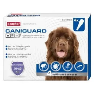 Beaphar Caniguard Duo Xl 40-60Kg 4Pip