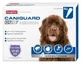 Beaphar Caniguard Duo Xl 40-60Kg 4Pip