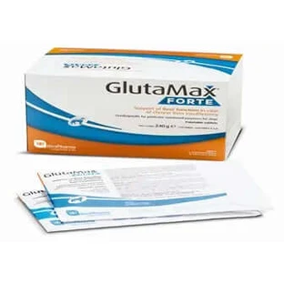 Glutamax Forte, 120 Tabletten