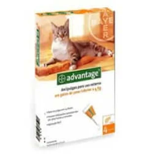Advantage Katze 40 mg 0-4Kg 4Pip