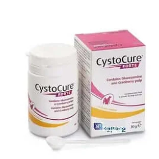Cystocure Forte Powder, 30 grams