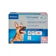 Effipro Duo Spot-On Large Dog 20-40Kg, 4 Pipettes