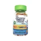Chewy Vites Kids Multivitamins Plus 60Ud