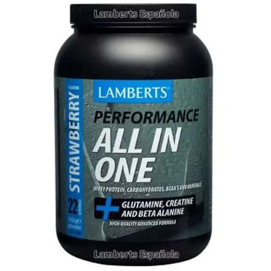 Lamberts All In One Strawberry Flavored Milkshake 1450 g