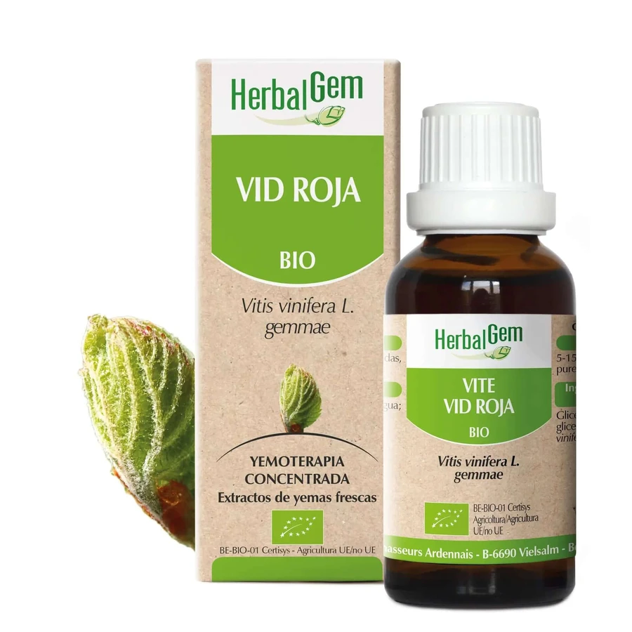 Herbalgem Red Vine, 15ml
