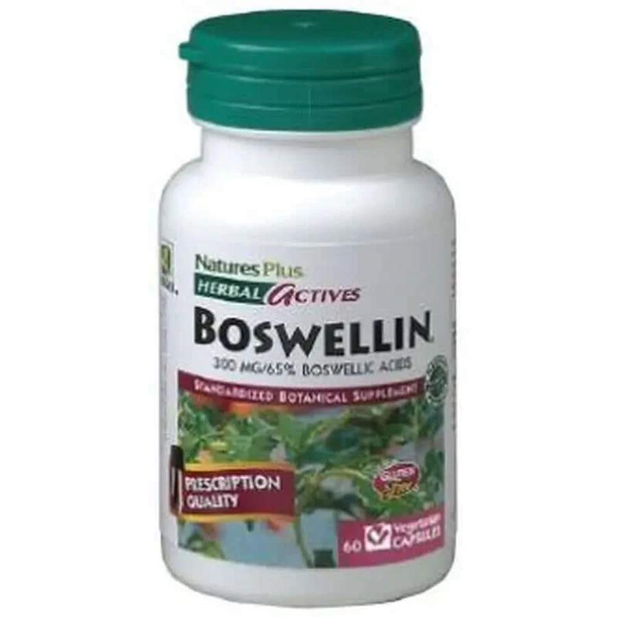 Natures Plus Boswellin 300Mg, 60 Cápsulas Herbal Actives
