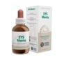 Forza Vitale Sys.Peppermint 50Ml