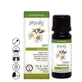 Physalis Rockrose Essential Oil 5Ml. Bio
