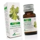 Soria Natural Essence Niaouli 15Cc