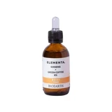 Bioearth Ginseng + Grüner Kaffee 6% , 50 ml