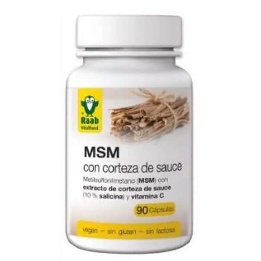 Raab Vitalfood Msm With Willow Bark 630Mg 90Caps Sg Vegan