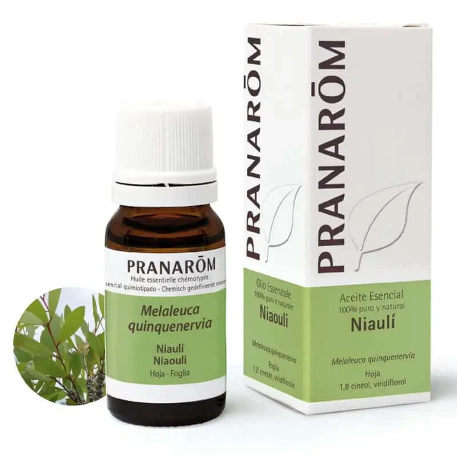 Pranarom Niaouli etherische olie, 10ml