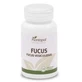Plantapol Fucus 100 Tablets