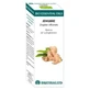 Equisalud Bio Huiles Essentielles Huile Essentielle Gingembre 10Ml