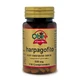 Obire Harpagofito, 100 tablets