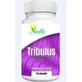 El Valle Tribucaps (Tribulus) 120 Kapseln