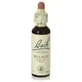 Bach Bloemen Original Bach Bloemen Walnoot Walnoot 20Ml