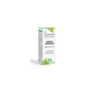 Esential Aroms Pfefferminz Arvensis Ätherisches Öl 10Ml