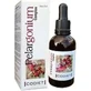 Codiet Pelargonium-Komplex 50Ml