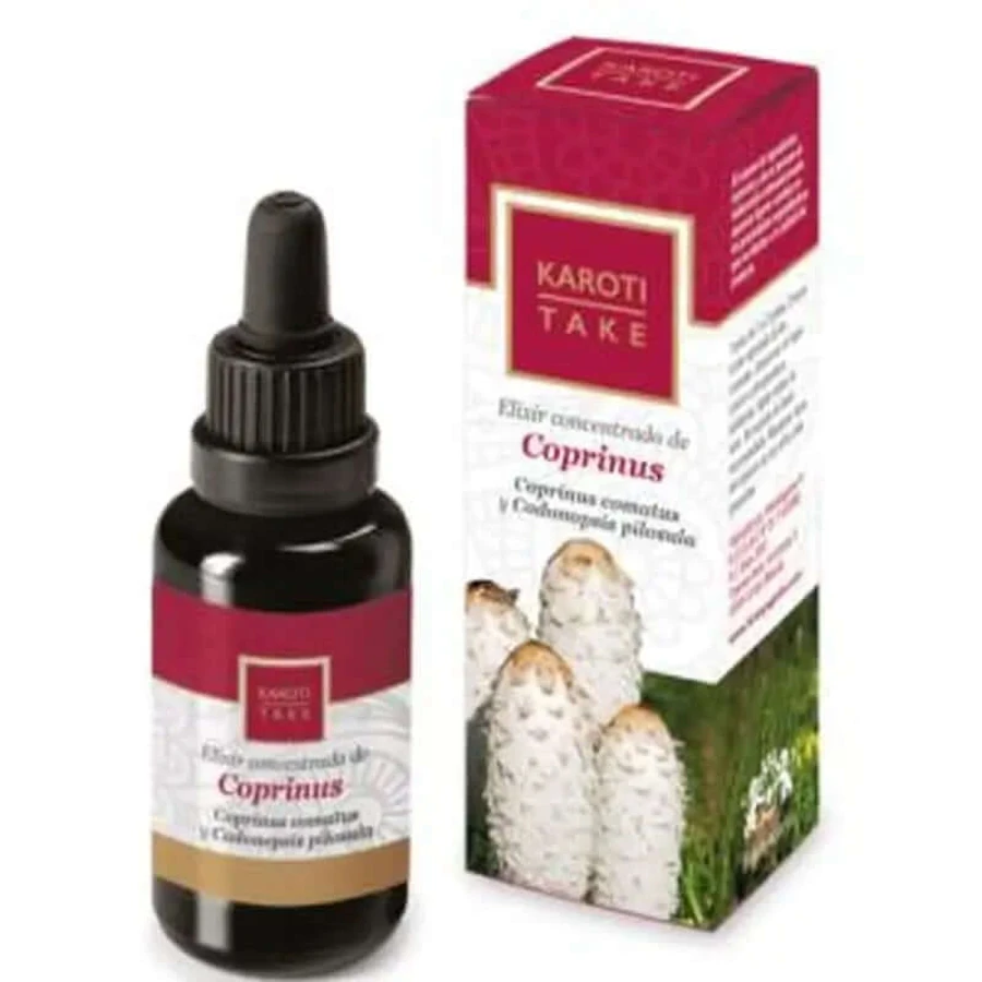 Hiranyagarba Karoti-Take Coprinus 30Ml