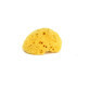 Natural fine pore sponge, Ok Baby