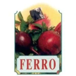 Bellsola Xer22 Ferro Syrup 250Ml