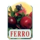 Bellsola Xer22 Ferro Syrup 250Ml