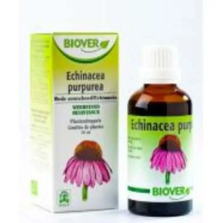 Biover Echinacea Purpurea Echinacea Auszug 50Ml