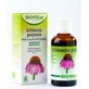 Biover Echinacea Purpurea Echinacea Extract 50Ml