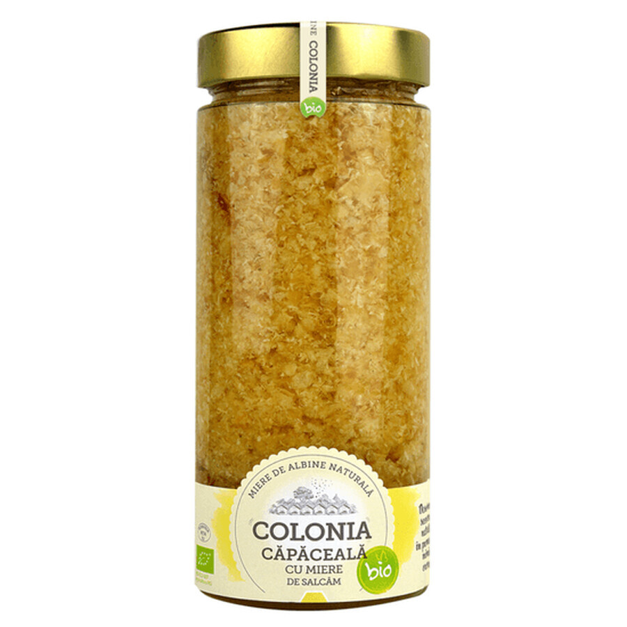 Comprar Capuchón de miel de salcam ecológica, 770 g, Colonia Capuchón de miel de salcam ecológica, 770 g, Colonia