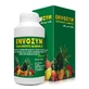 Goreshi Envozym 500 Tablets, 500 Tablets