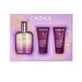 Caudalie Les Essentiels Corps Ernährung Truhe