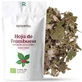 Replant Organic Raspberry Leaf, 100 grams