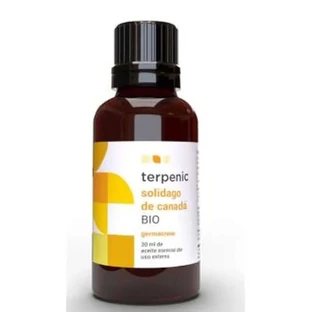 Terpenic Solidago aus Kanada Ätherisches Öl Bio 30Ml