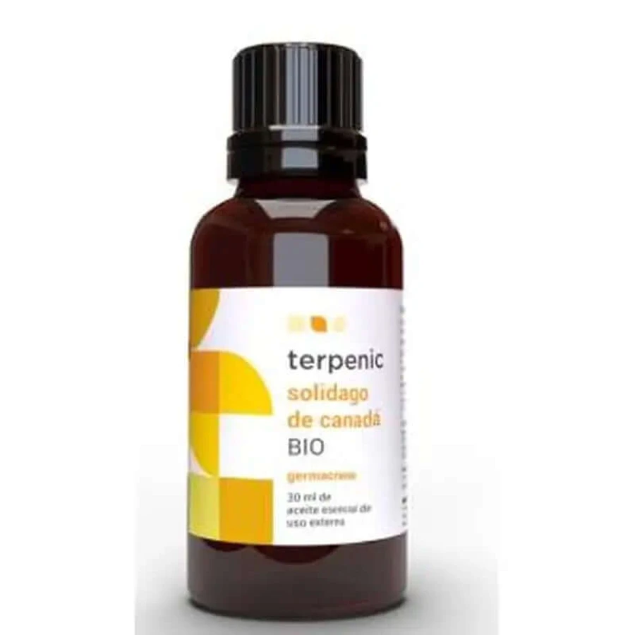 Terpenic Solidago aus Kanada Ätherisches Öl Bio 30Ml